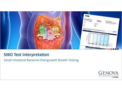 Interpreting the SIBO Breath Test (Beginner)